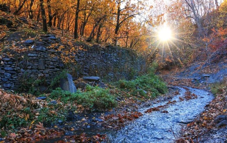 طبیعت شاندیز