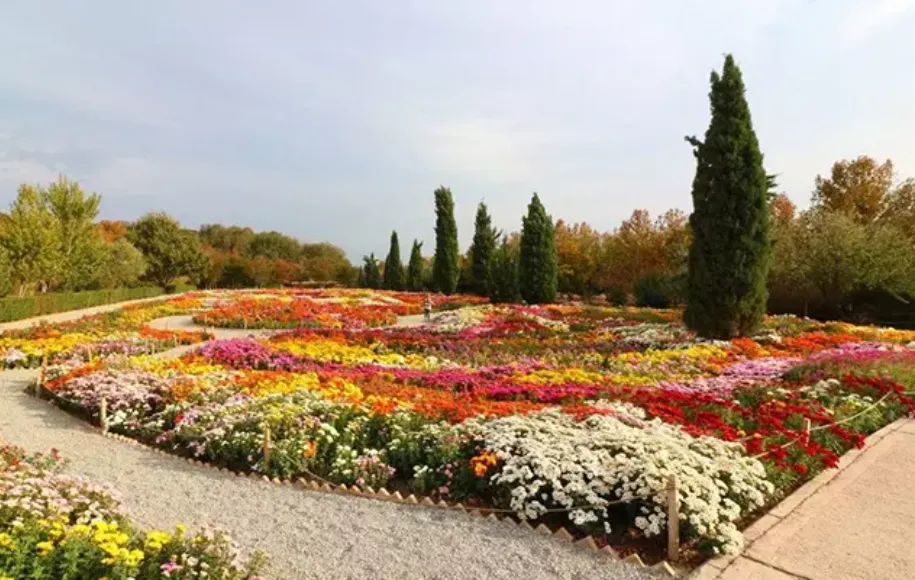 باغ ملی گیاه شناسی